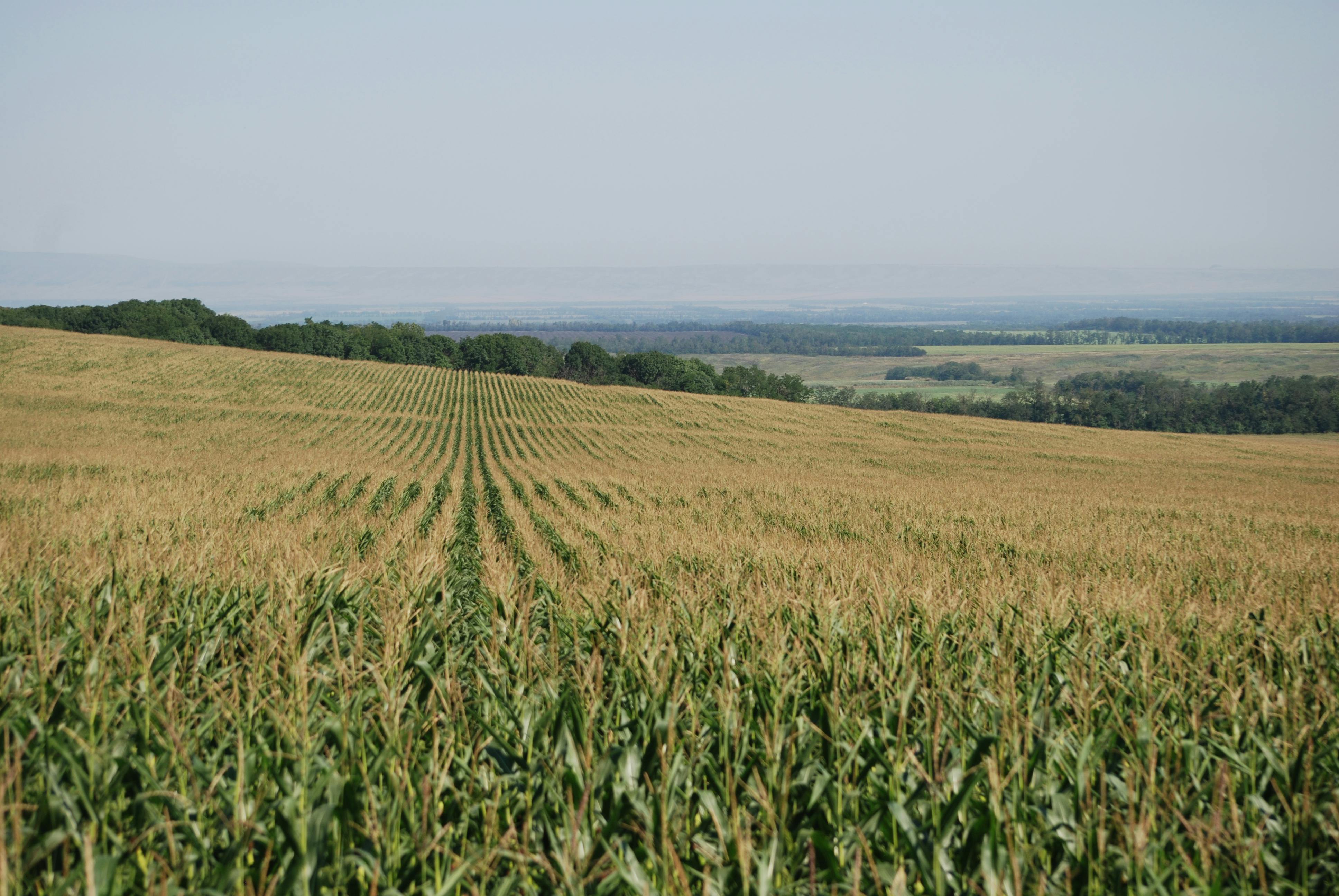 farm landscape